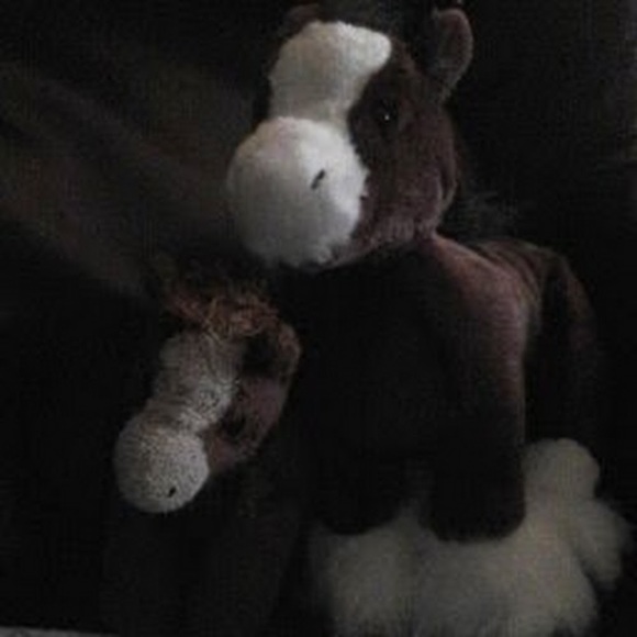 Meet your Posher, Sophie - Picture 1 of 1